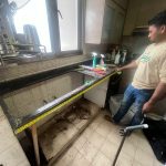 WhatsApp Image 2024-03-17 at 20.33.34